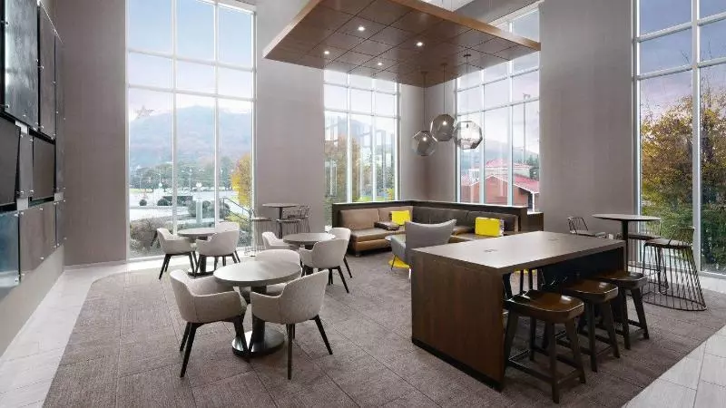 호텔 Springhill Suites By Marriott Roanoke