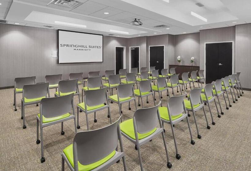 酒店 Springhill Suites By Marriott Roanoke