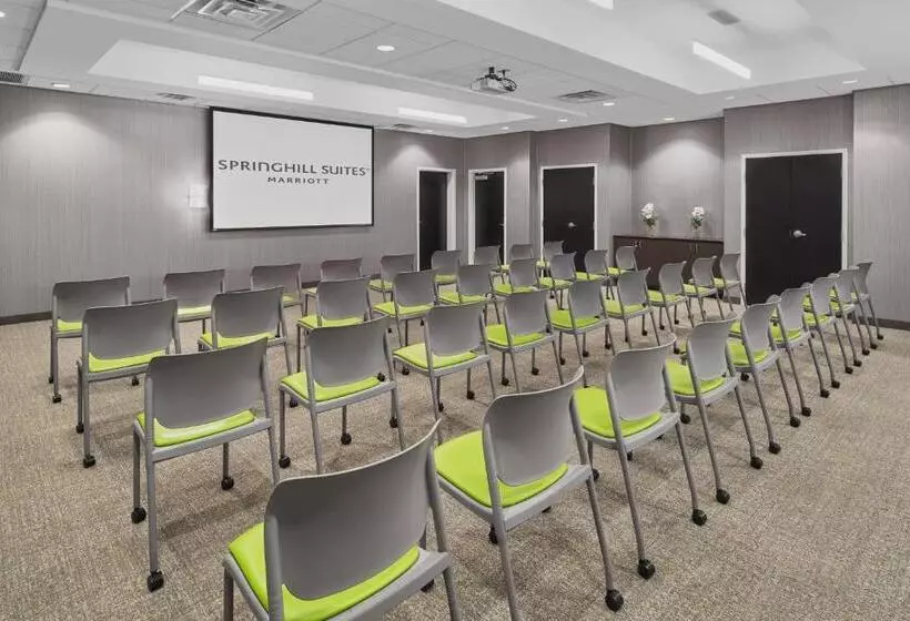 호텔 Springhill Suites By Marriott Roanoke