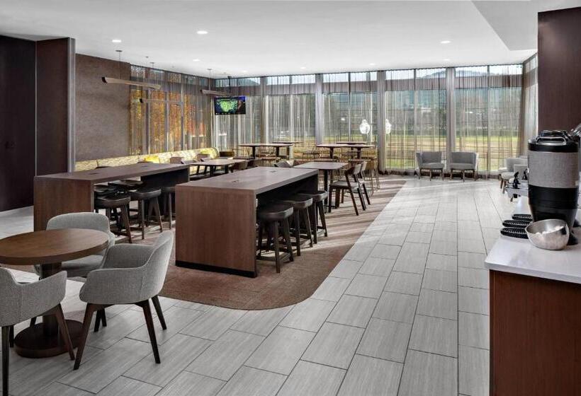 酒店 Springhill Suites By Marriott Roanoke