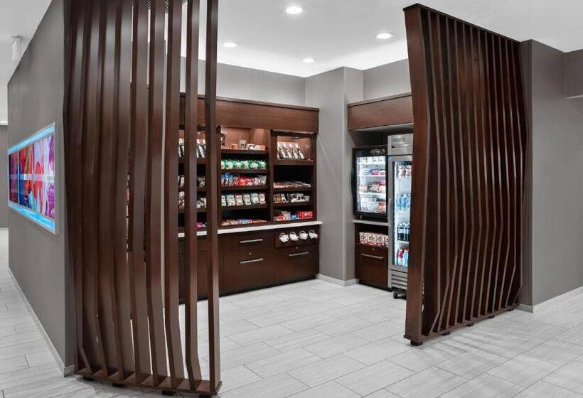 酒店 Springhill Suites By Marriott Roanoke