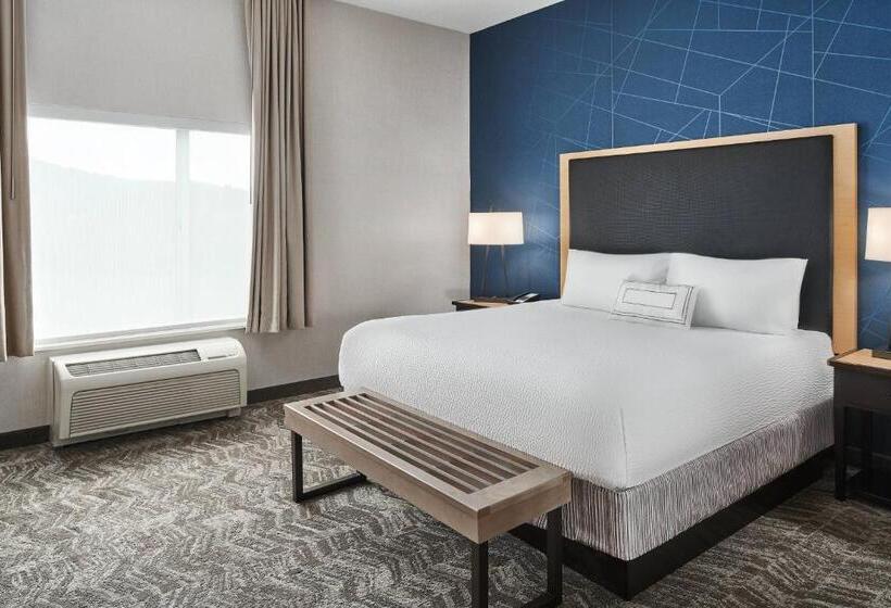 酒店 Springhill Suites By Marriott Roanoke