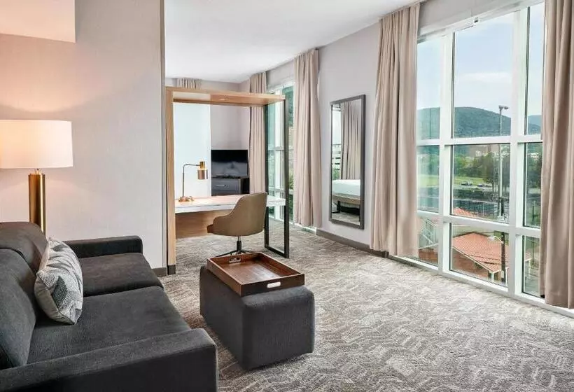 호텔 Springhill Suites By Marriott Roanoke
