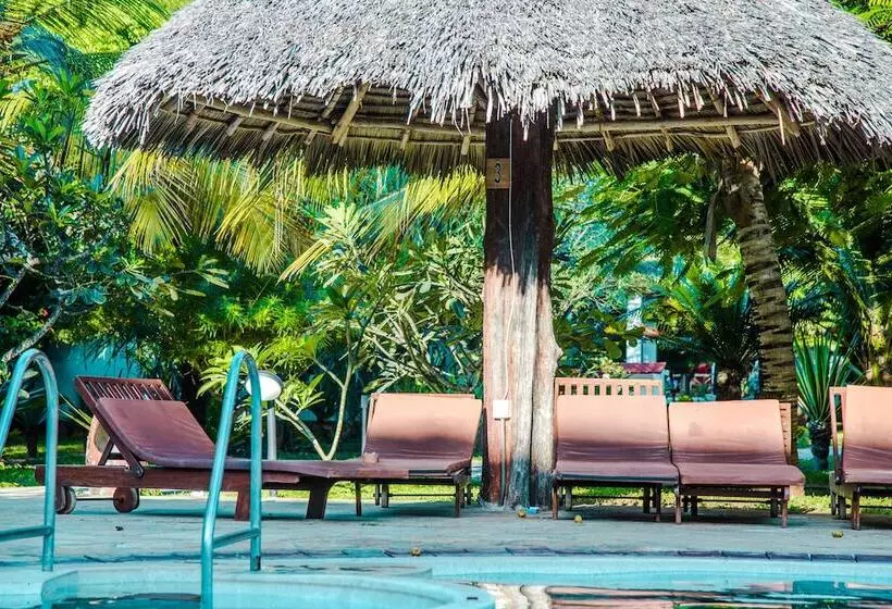 منتجع Jaz Adonia