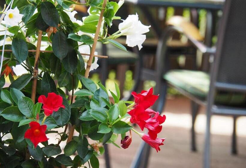 호텔 Breitenfelderhof Zur Riegersburg