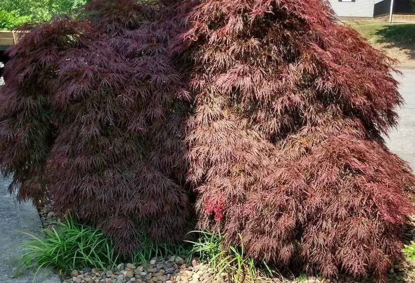 ホテル The Glenville Inn