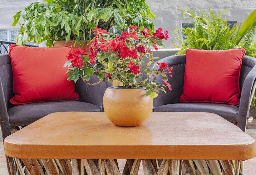 Bed and Breakfast Casa Del Sol Inn