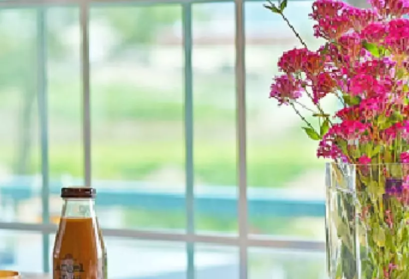 Gyeongju Novios Pets Friendly Pension