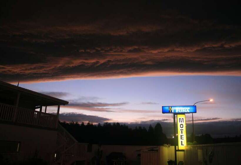 Accommodation At Te Puna Motel