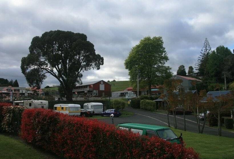 Accommodation At Te Puna Motel