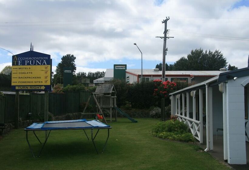 Accommodation At Te Puna Motel