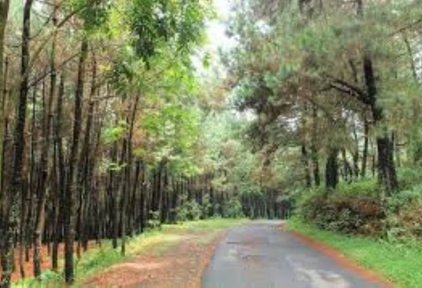 בית מלון כפרי Pondok Lariska