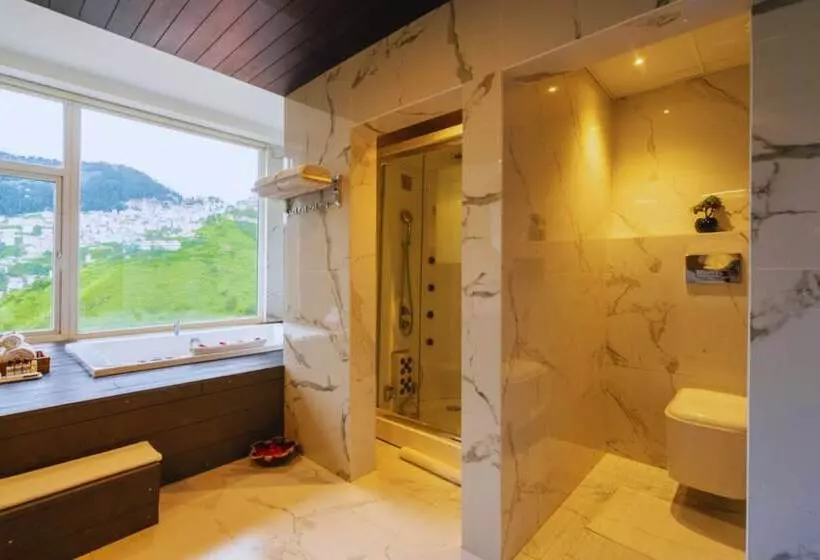 Hotelli The Orchid Shimla