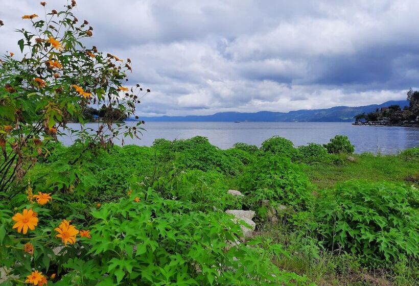 פנסיון Juma Cottages