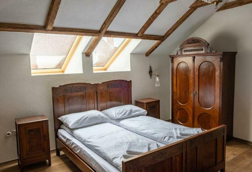 Пансион The Throne   M Museum