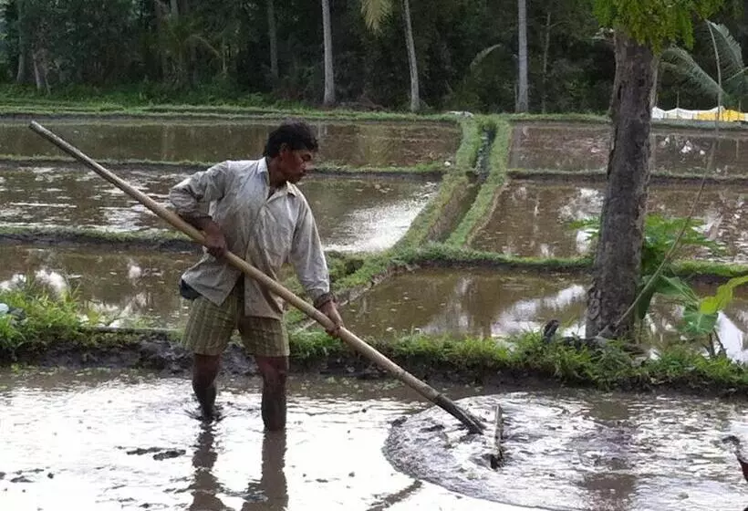 ペンション White Lotus Oasis