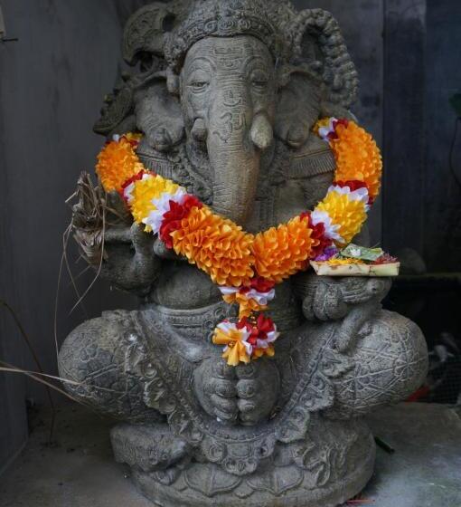 Pension (Hôtel basse catégorie) White Lotus Oasis