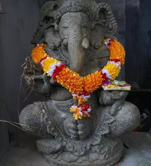 ペンション White Lotus Oasis