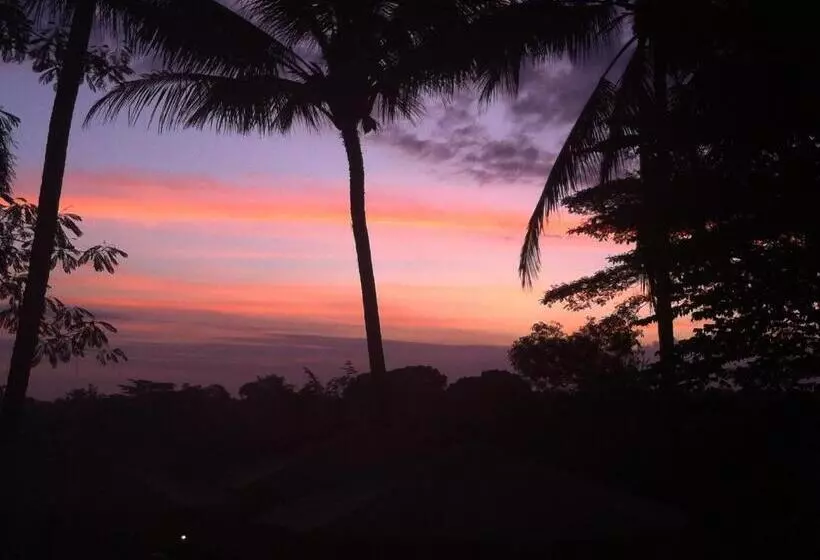 ペンション White Lotus Oasis