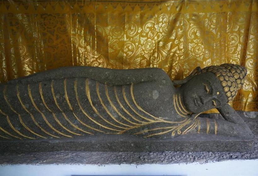 Pension (Hôtel basse catégorie) White Lotus Oasis