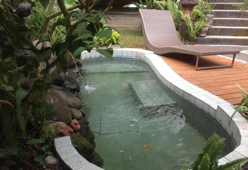 Pension (Hôtel basse catégorie) White Lotus Oasis