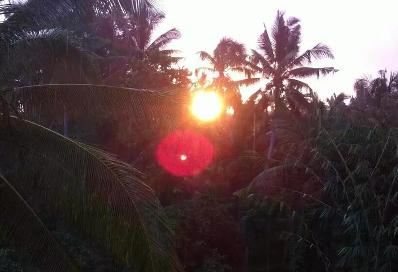 ペンション White Lotus Oasis