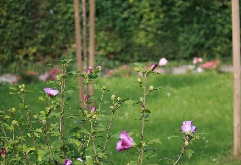 酒店 Ferienwohnung Am Kurpark