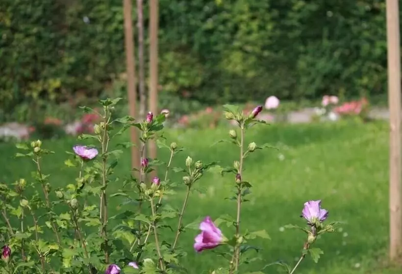 Hotelli Ferienwohnung Am Kurpark