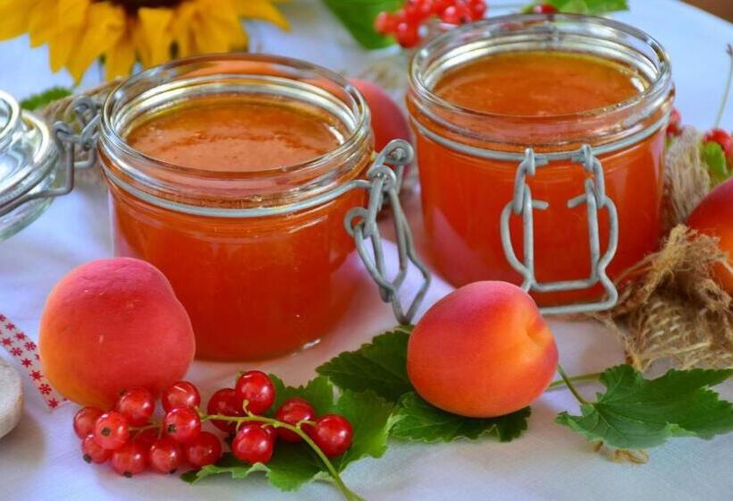 酒店 Santikos Mansion, Santikos Collection