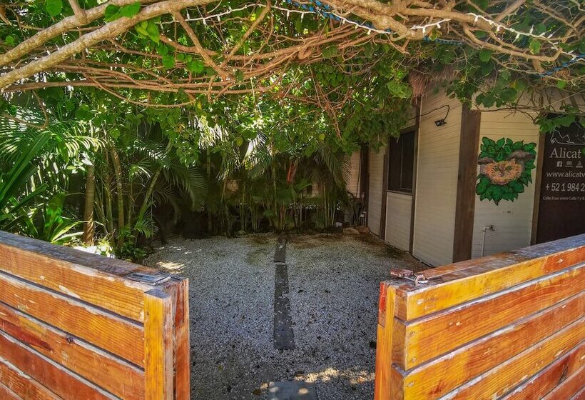 호텔 Alicat Villas