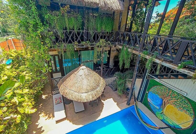 호텔 Alicat Villas