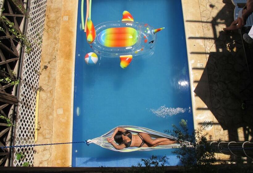 호텔 Alicat Villas