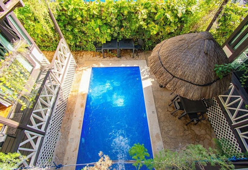 호텔 Alicat Villas