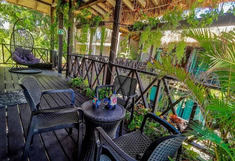 호텔 Alicat Villas