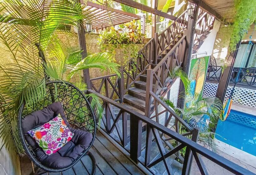 호텔 Alicat Villas