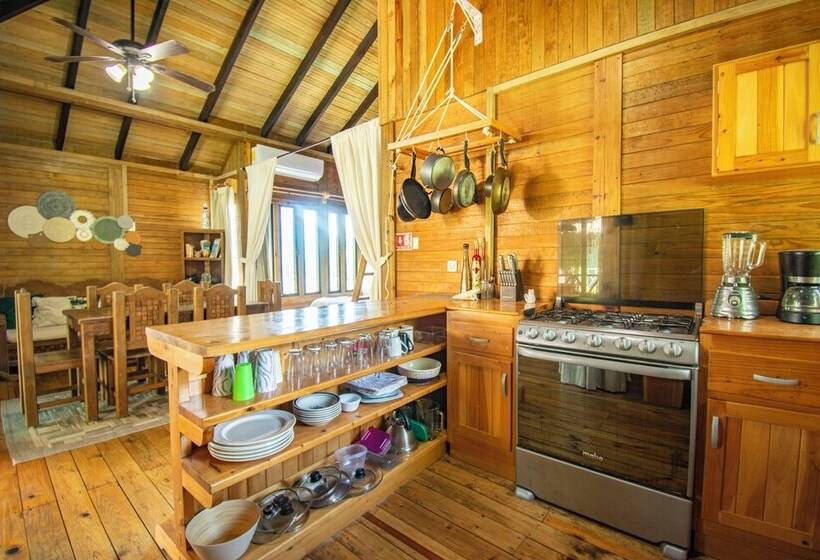 호텔 Alicat Villas