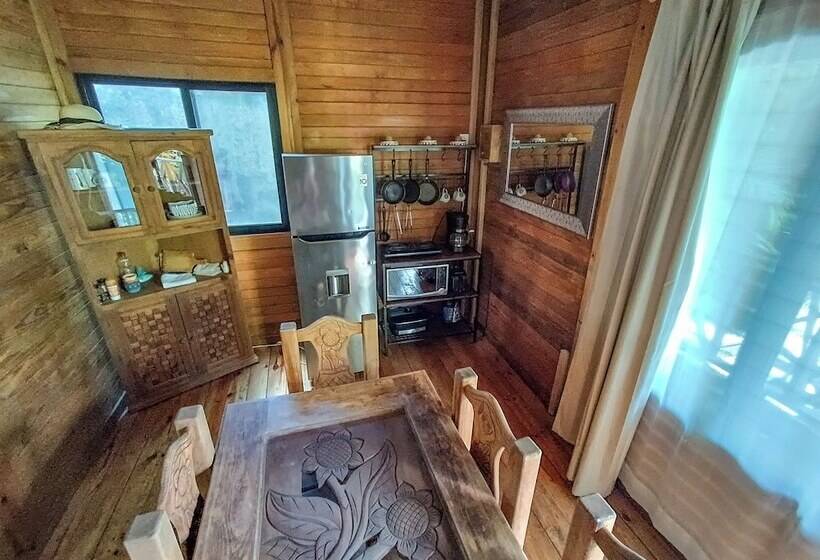 호텔 Alicat Villas