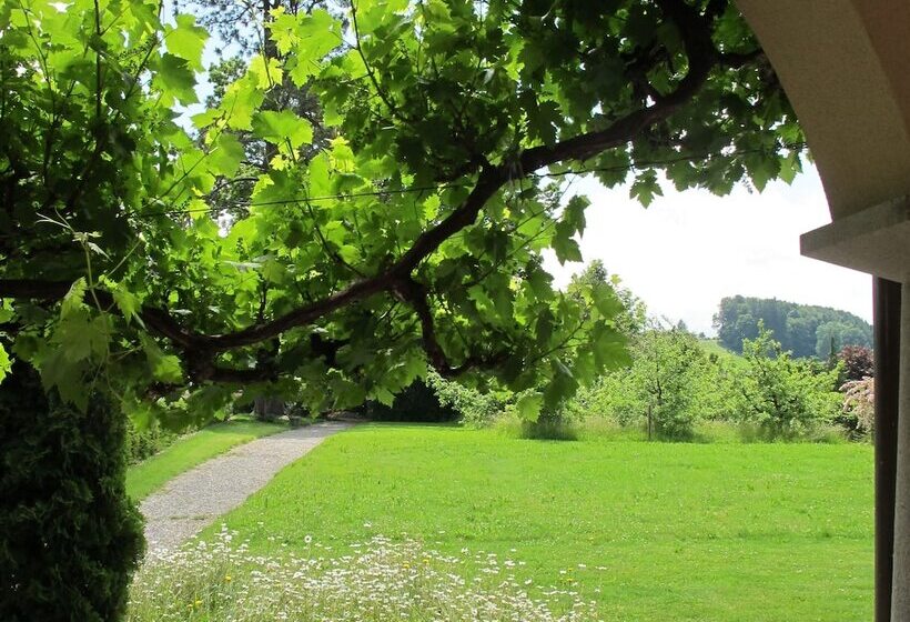 Отель Bildungszentrum Burgbühl