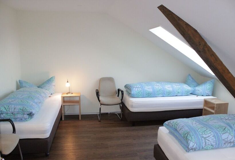 Отель Bildungszentrum Burgbühl