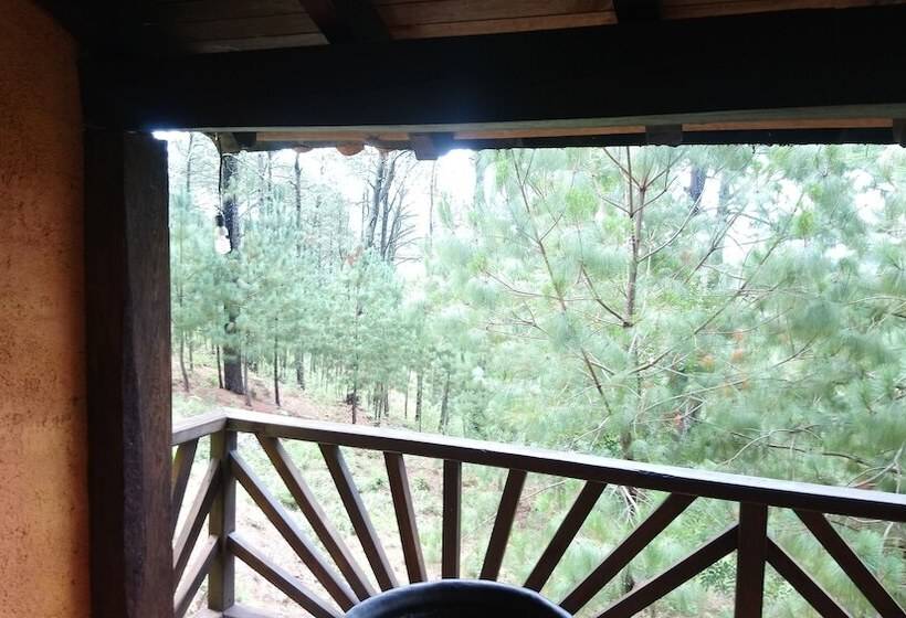 Hotel Cabañas El Pinar