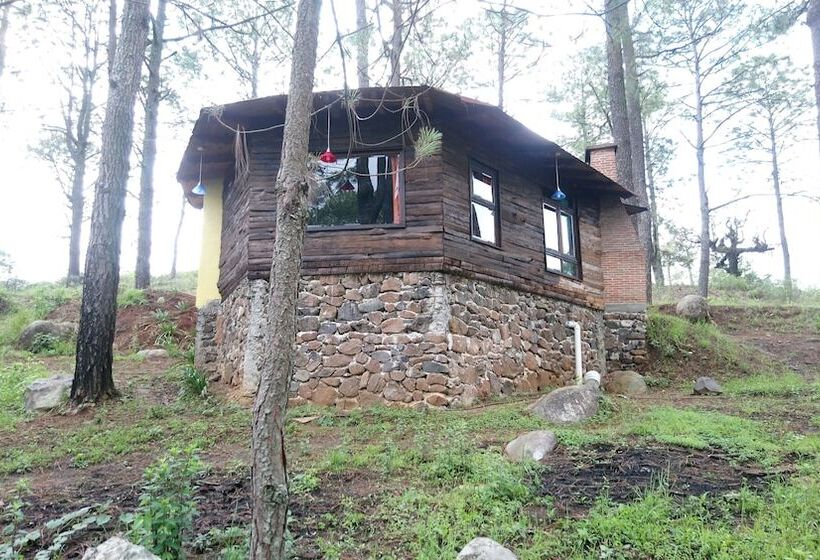Hotel Cabañas El Pinar