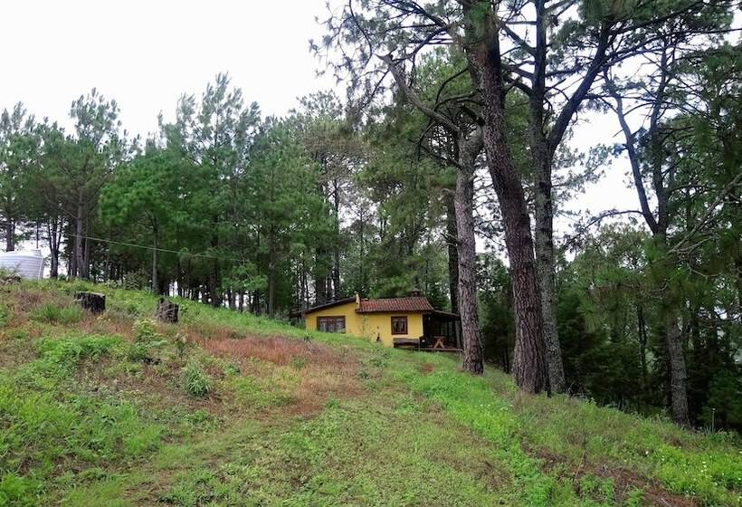 Hotel Cabañas El Pinar