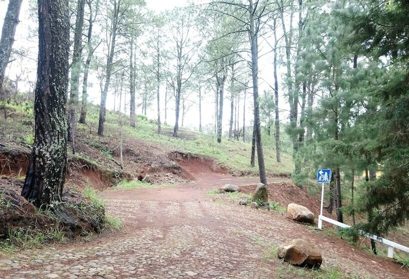 Hotel Cabañas El Pinar