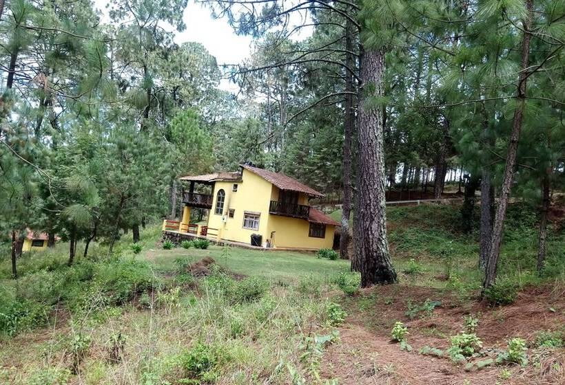 Hotel Cabañas El Pinar