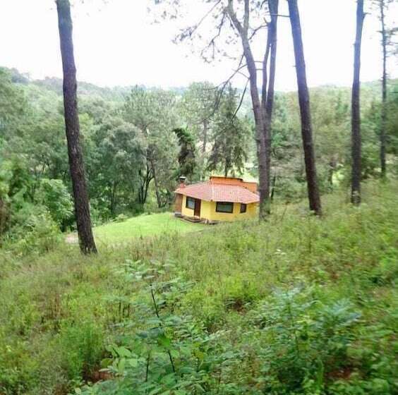 Hotel Cabañas El Pinar