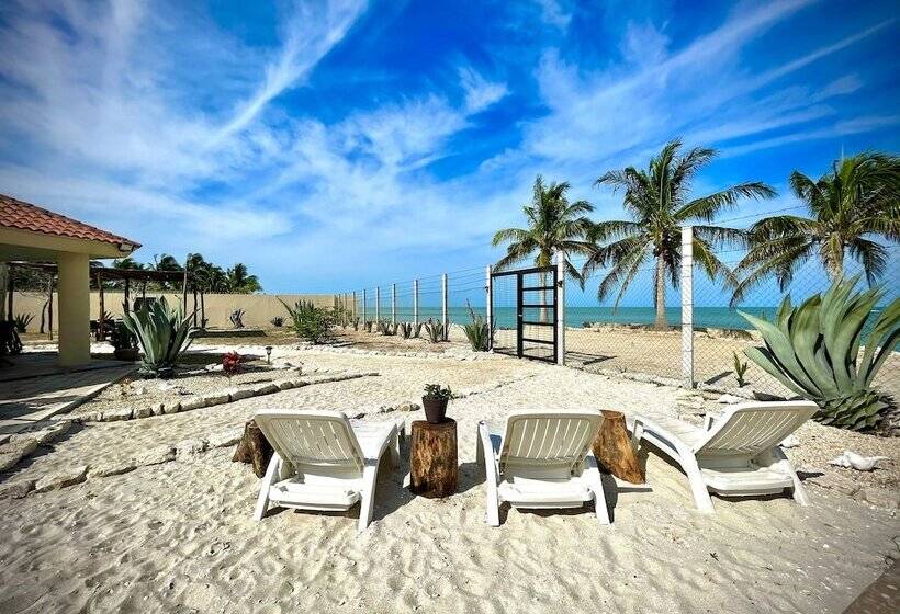 فندق Casa Bremar 3097   Only Adults