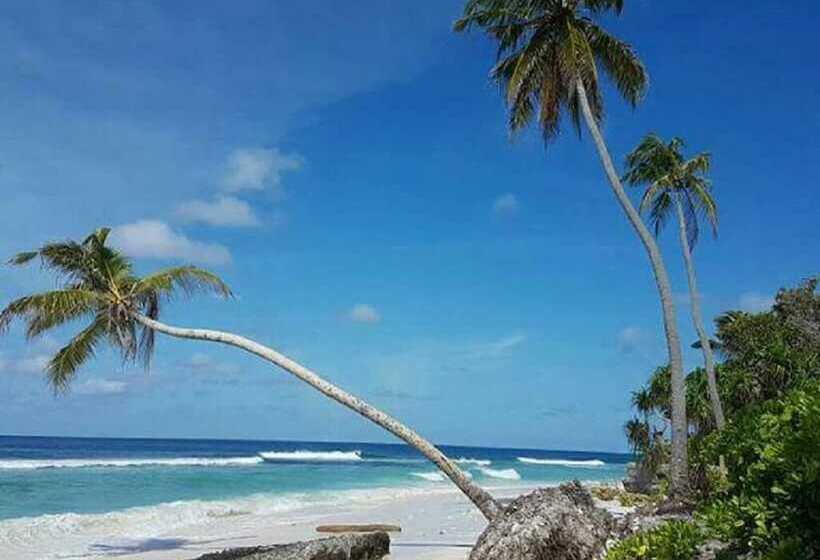 هتل Charming Holiday Lodge