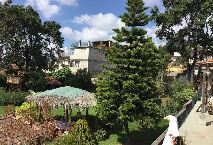 ホテル Hostal Posada Mi Casa