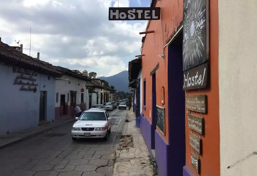ホテル Hostal Posada Mi Casa