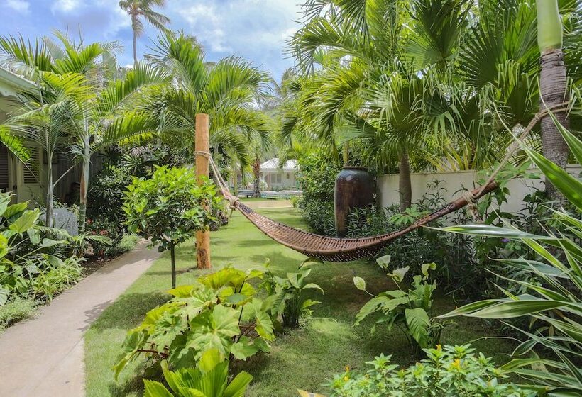 هتل Mahona Bed & Breakfast